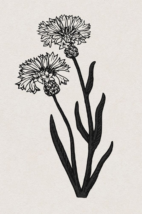 Picture of RURAL FLORALS V2