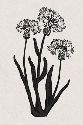 Picture of RURAL FLORALS 2 V2