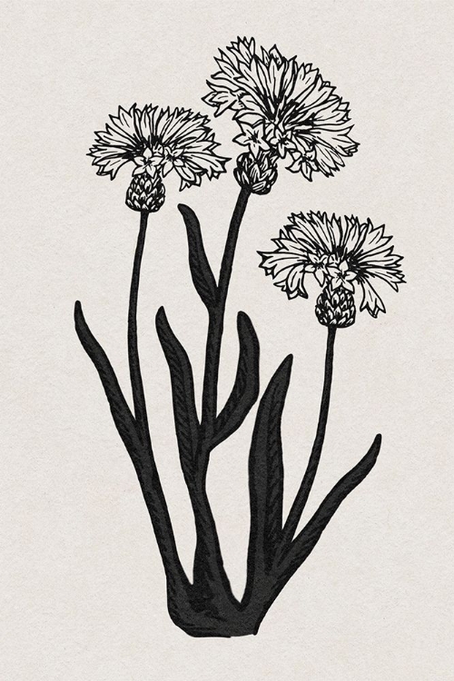 Picture of RURAL FLORALS 2 V2