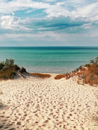 Picture of GENEROUS SUMMER