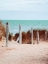 Picture of CAPRICIOUS DREAMS