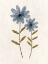 Picture of SOPHISTICATED GROWTH 1