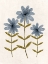 Picture of SOPHISTICATED GROWTH 2