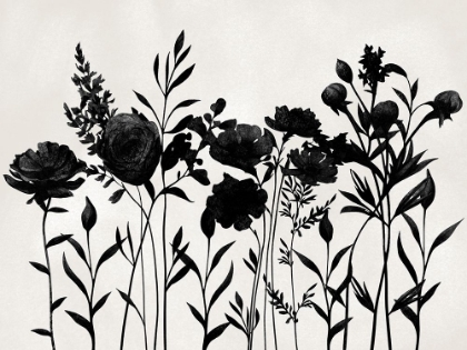 Picture of FLOWERS IN SHADOW 1