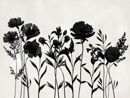 Picture of FLOWERS IN SHADOW 2