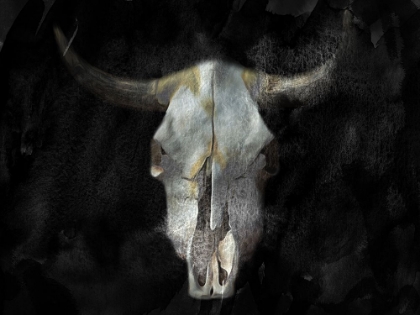 Picture of WESTERN SKULL