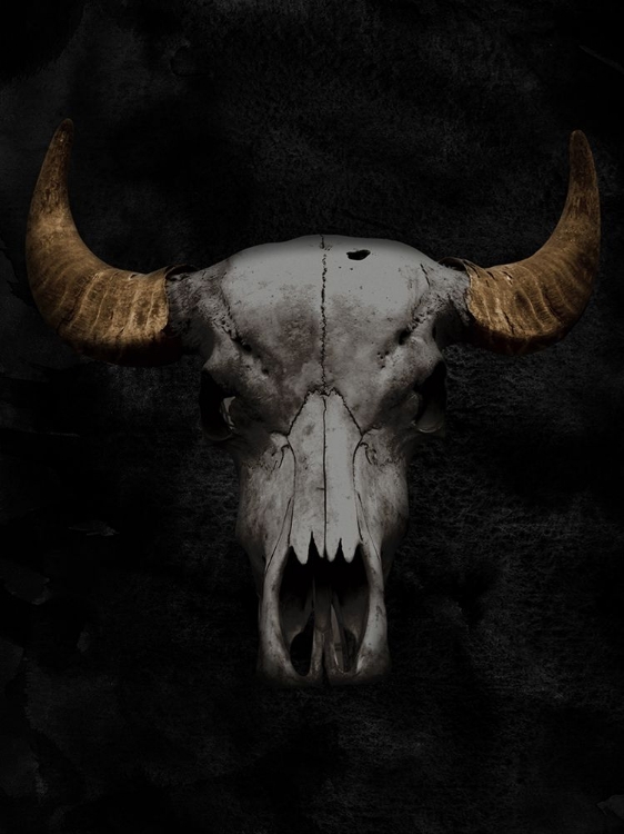 Picture of WESTERN SKULL 2