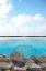 Picture of OCEAN HARMONY