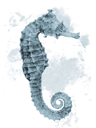 Picture of WEATHERED SEAHORSE