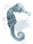 Picture of WEATHERED SEAHORSE