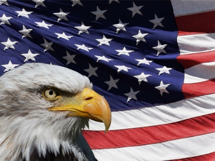 Picture of AMERICAN PRIDE