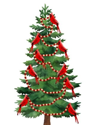 Picture of CARDINAL TREE