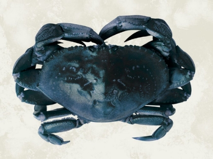 Picture of VINTAGE CRAB