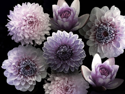 Picture of MOODY BOUQUET 1