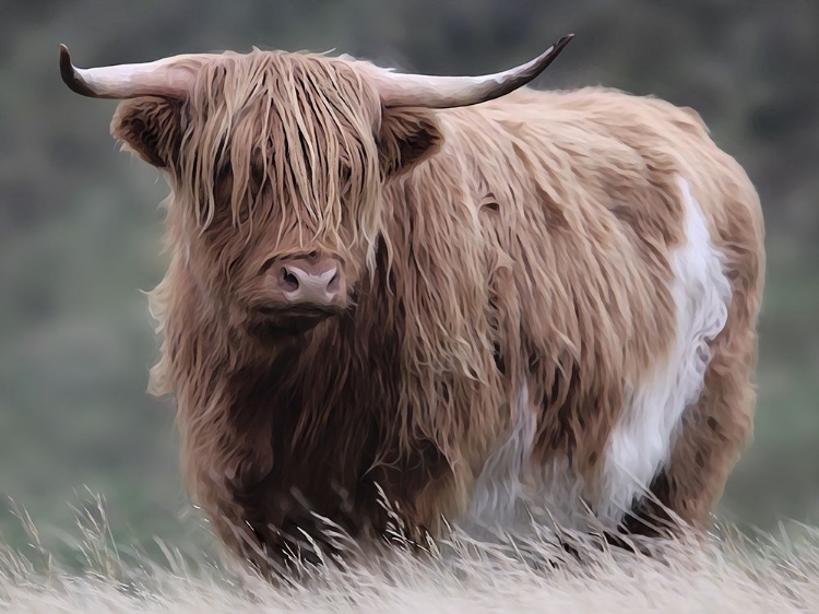 Picture of WANDERING HARRY