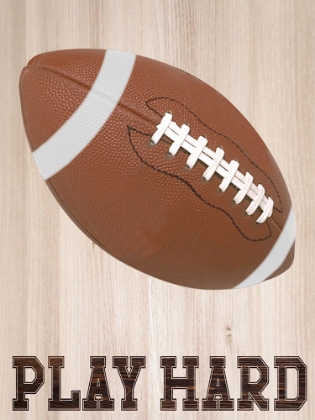 Picture of PLAY HARD