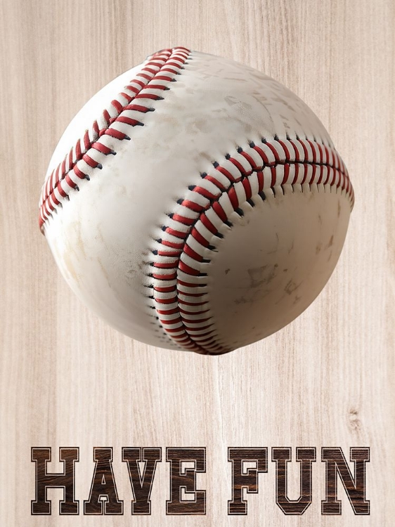 Picture of HAVE FUN