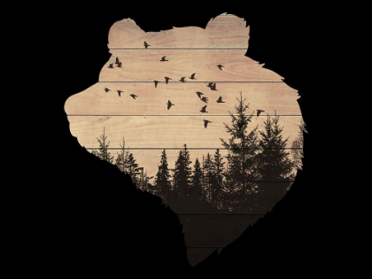 Picture of WILDERNESS BEAR