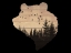 Picture of WILDERNESS BEAR