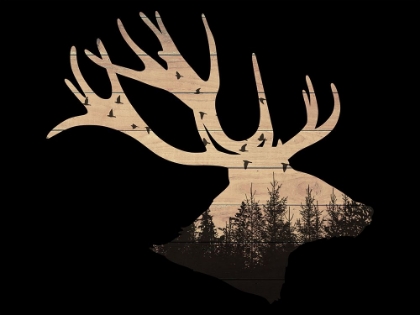 Picture of DEER BEAR