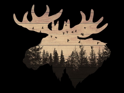 Picture of WILDERNESS MOOSE