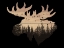 Picture of WILDERNESS MOOSE