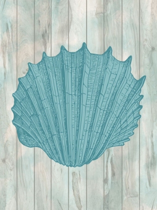 Picture of COASTAL SHELL 1
