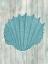 Picture of COASTAL SHELL 1