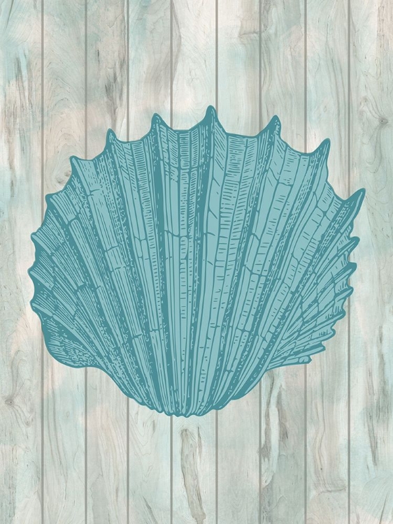 Picture of COASTAL SHELL 1