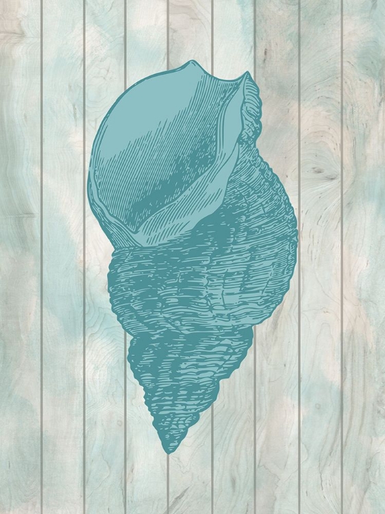 Picture of COASTAL SHELL 2