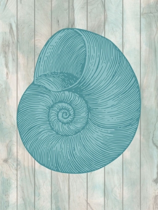 Picture of COASTAL SHELL 3