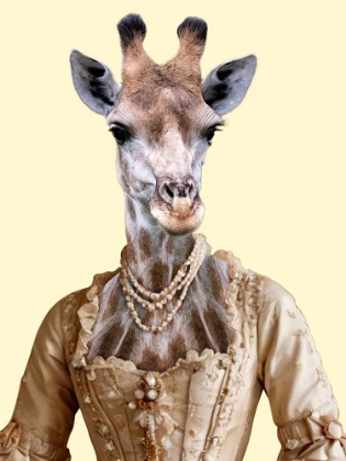 Picture of ROYAL GIRAFFE