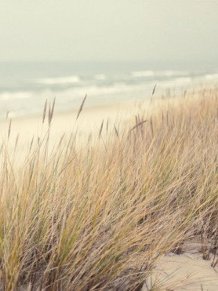 Picture of BEACH DREAM