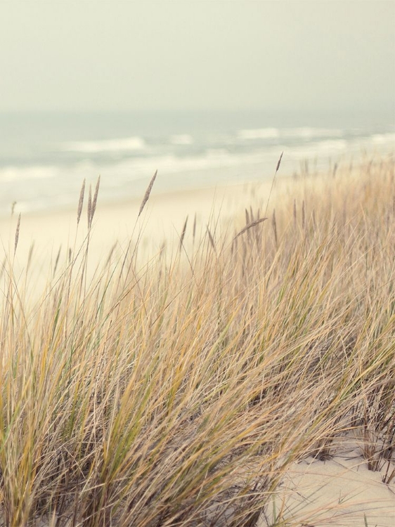Picture of BEACH DREAM