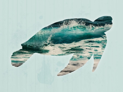 Picture of COASTAL TURTLE 1