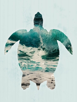 Picture of COASTAL TURTLE 2