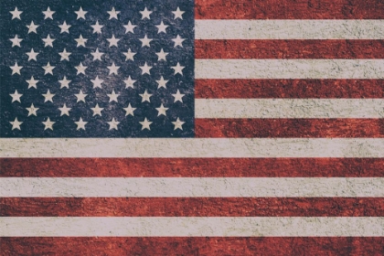 Picture of FREE AMERICA 1