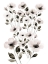 Picture of SOPHISTICATED FLOWER BUNCH 1