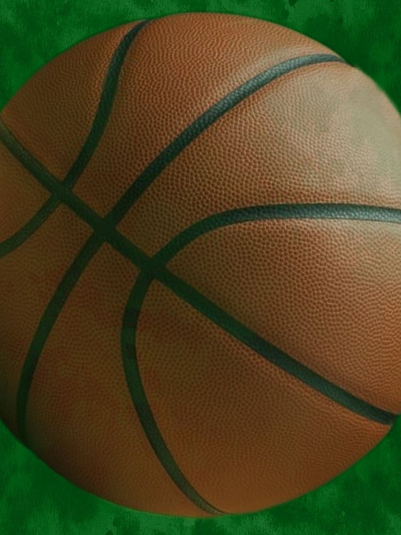 Picture of YOUTH SPORTS 2