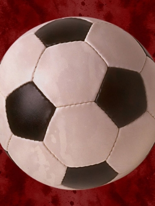 Picture of YOUTH SPORTS 3