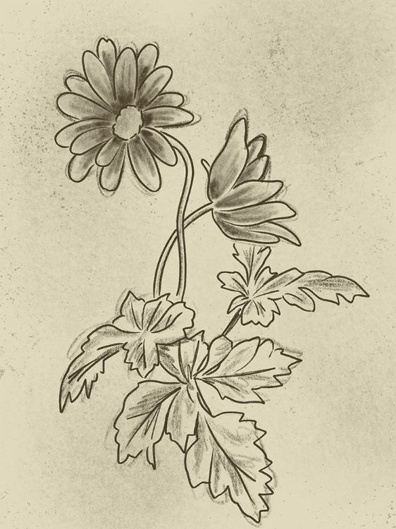 Picture of ILLUSTRATED FLORALS 1