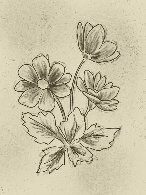 Picture of ILLUSTRATED FLORALS 2