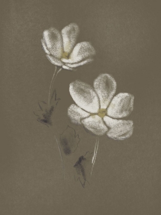 Picture of CHARCOAL FLORALS 1