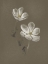Picture of CHARCOAL FLORALS 1