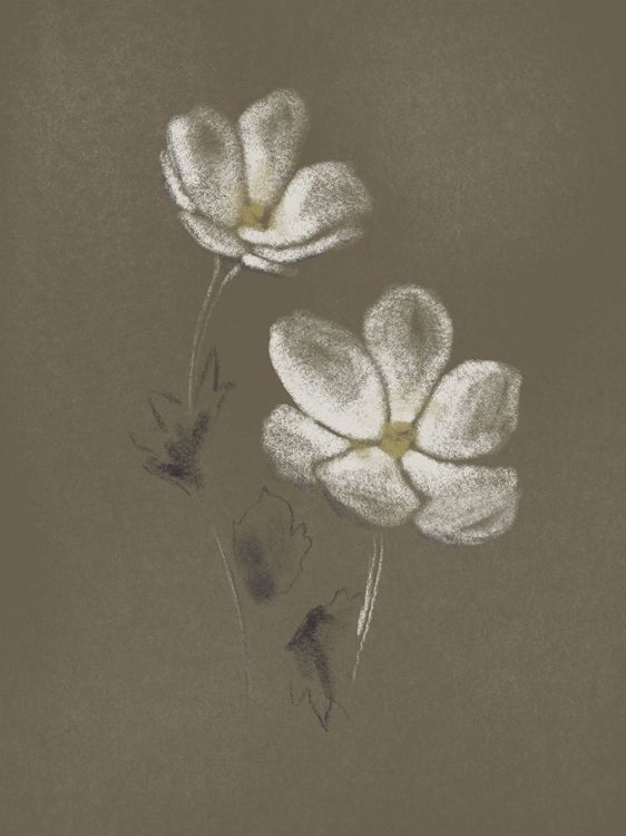 Picture of CHARCOAL FLORALS 1