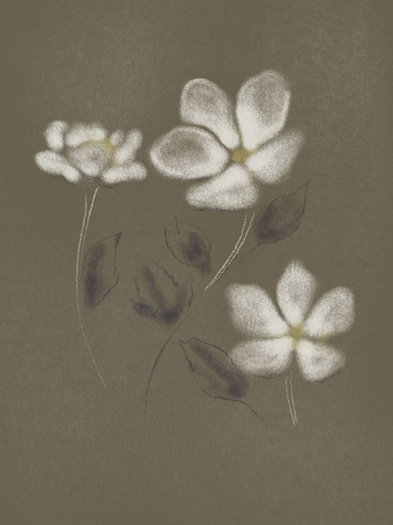 Picture of CHARCOAL FLORALS 2
