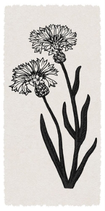 Picture of RURAL FLORALS RN