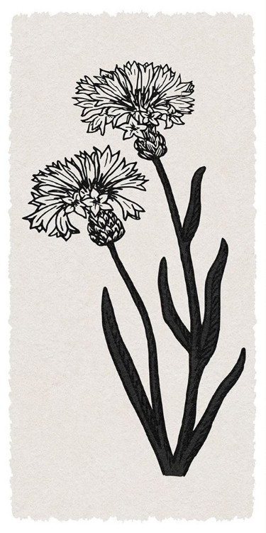 Picture of RURAL FLORALS RN