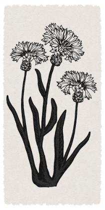 Picture of RURAL FLORALS RN 2