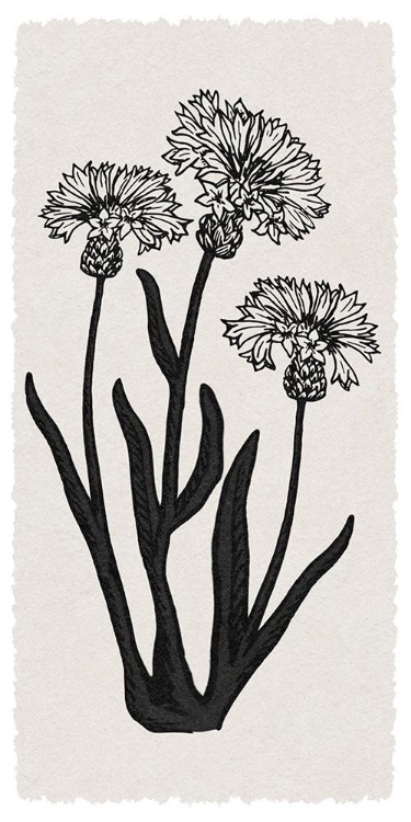Picture of RURAL FLORALS RN 2